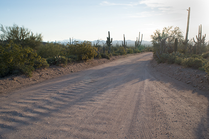 Tucson AZ